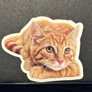 ORANGE CAT STICKER